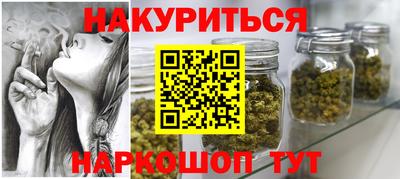 прущие грибы Камышлов