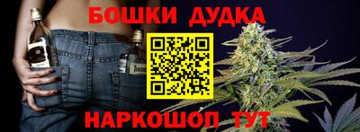 прущие грибы Камышлов