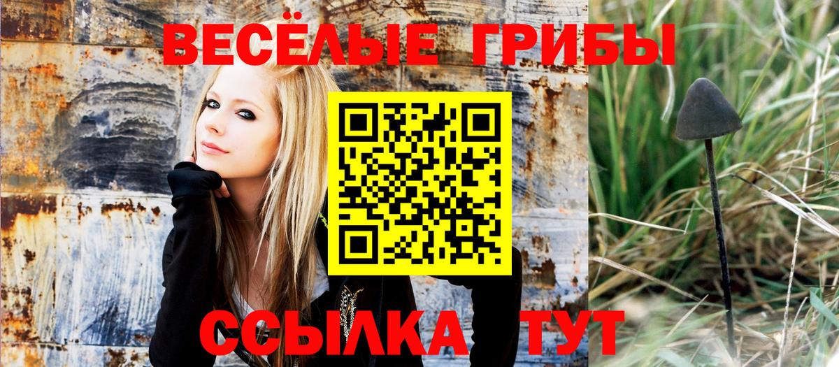 Псилоцибиновые грибы ЛСД  Галлюциногенные грибы Magic Shrooms  Вход с VPN  Лесной 
